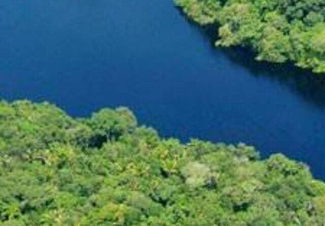cropped-Amazon-River-by-CIFOR.jpg
