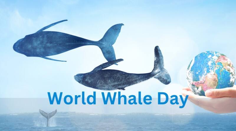 World Whale Day: Focus On The Most Endangered Species