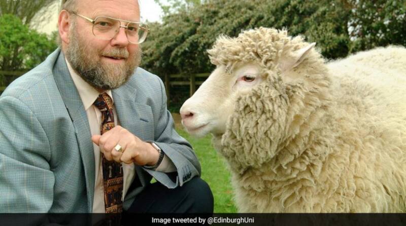The Pioneering Scientist Who Cloned Sheep Dies. Know What Happened