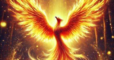 Wings of Fire