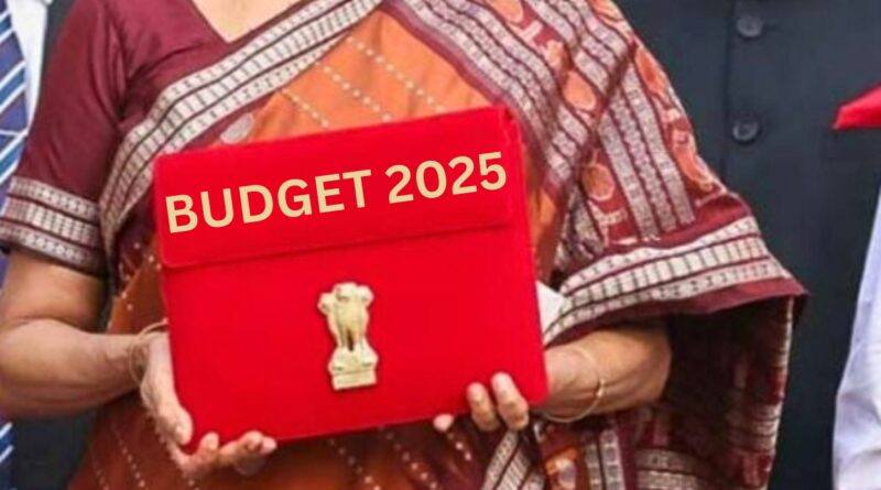 A Review On The Budget 2025 Now