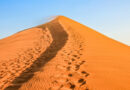 Footprints of the Fiery Wind