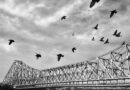The Soil of Kolkata