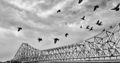 The Soil of Kolkata
