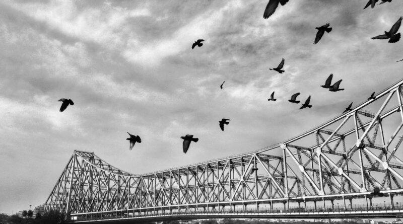 The Soil of Kolkata