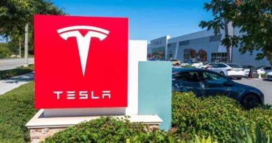 Amazing Indian Minds Now Drive A Vibrant Revolution At Tesla