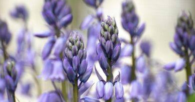 ARCHIVES OF APRIL - A beautiful Poem