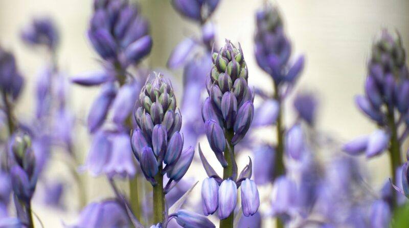 ARCHIVES OF APRIL - A beautiful Poem