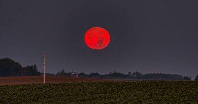 Red Moon Silence - A Beautiful Poem