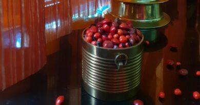 The Most Beautiful Red Bead Tree