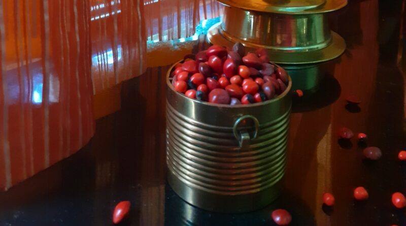 The Most Beautiful Red Bead Tree