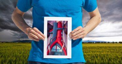 Storm Of The Vena Cava: A Beautiful Poem