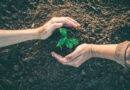 The New Diaspora Philanthropy: Giving Back To The World