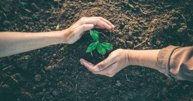 The New Diaspora Philanthropy: Giving Back To The World