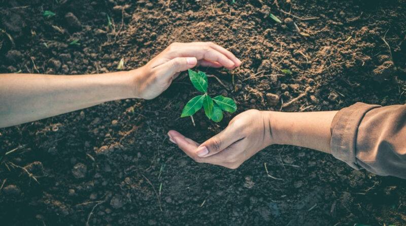 The New Diaspora Philanthropy: Giving Back To The World