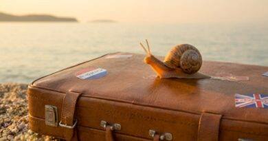 Slow Travel: This Is The New Way Of Seeing The World