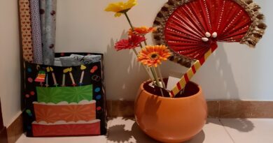 India’s Beautiful Pankha: The Forgotten Hand Fan Lives On