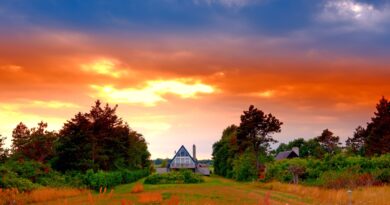 The Perfect Home Is Over: Beautiful, Vibrant, Lived-In Interiors Return
