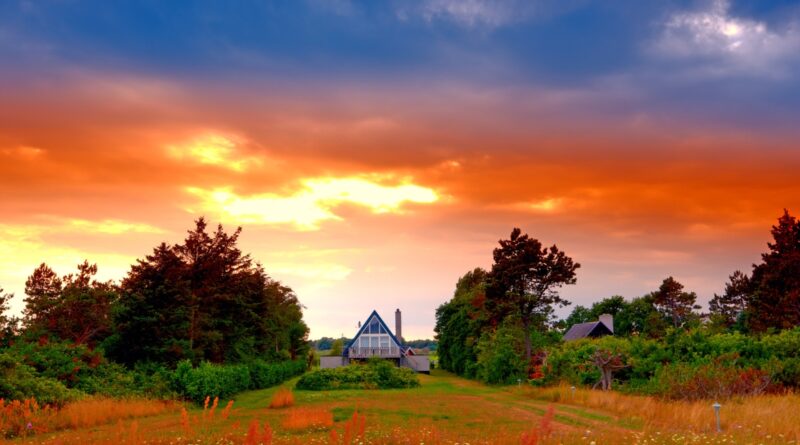 The Perfect Home Is Over: Beautiful, Vibrant, Lived-In Interiors Return