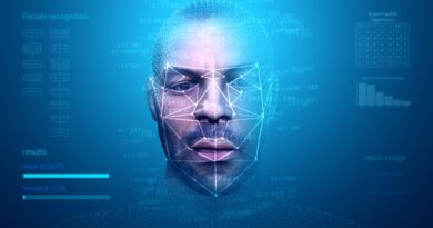 Your Face Is The New Passport: Biometric Privacy Exposed